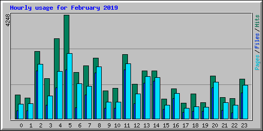 Hourly usage for February 2019