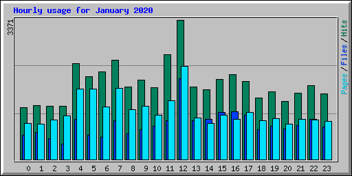 Hourly usage for January 2020