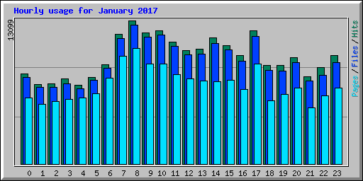 Hourly usage for January 2017