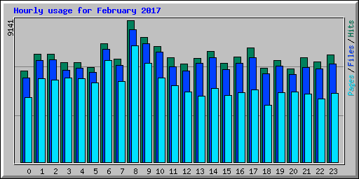 Hourly usage for February 2017
