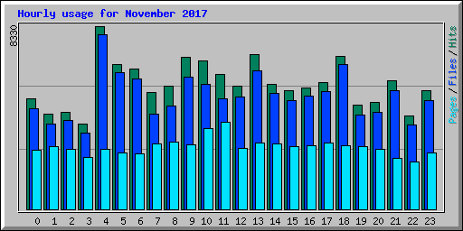 Hourly usage for November 2017