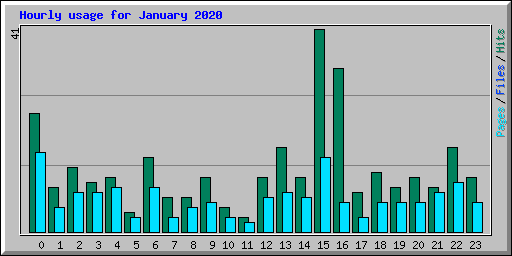 Hourly usage for January 2020