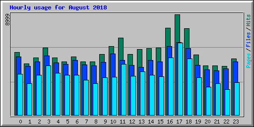 Hourly usage for August 2018