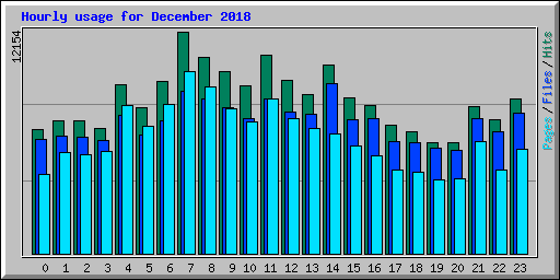 Hourly usage for December 2018