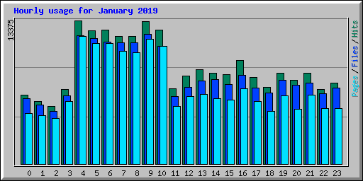 Hourly usage for January 2019
