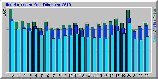 Hourly usage for February 2019