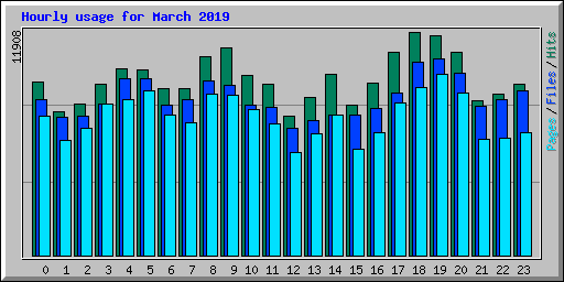 Hourly usage for March 2019
