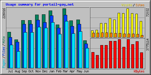 Usage summary for portail-gay.net