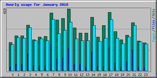 Hourly usage for January 2018