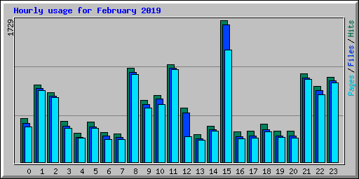 Hourly usage for February 2019