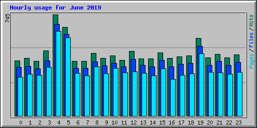 Hourly usage for June 2019