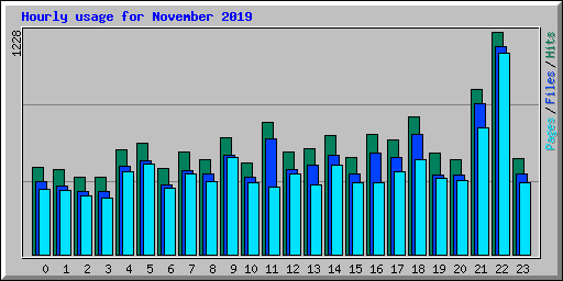 Hourly usage for November 2019