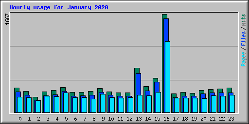 Hourly usage for January 2020
