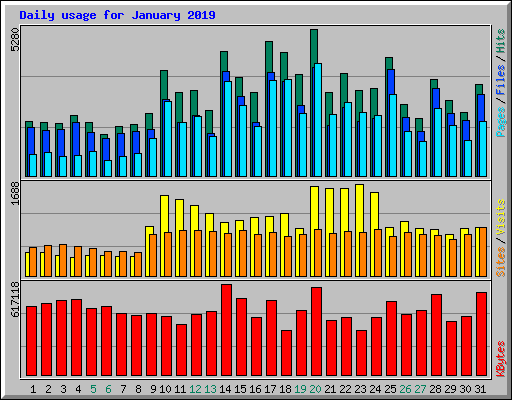 Daily usage for January 2019