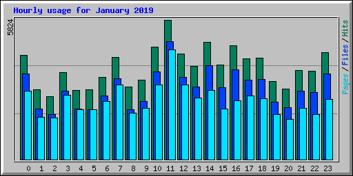 Hourly usage for January 2019