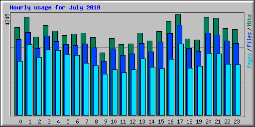 Hourly usage for July 2019