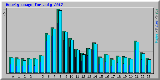Hourly usage for July 2017