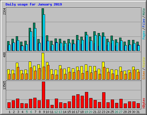 Daily usage for January 2019