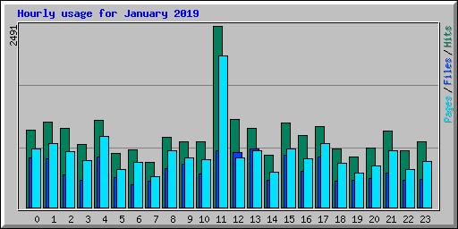 Hourly usage for January 2019
