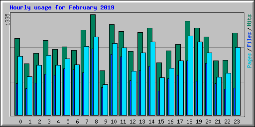 Hourly usage for February 2019