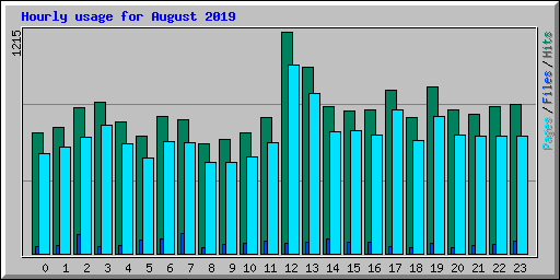 Hourly usage for August 2019